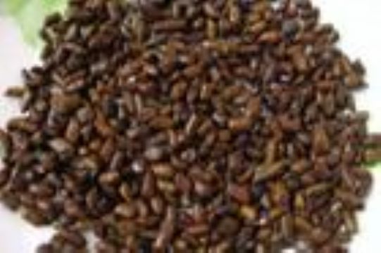 Cassia Seed Extract